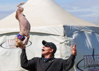 Mascota Manía promete diversión para toda la familia