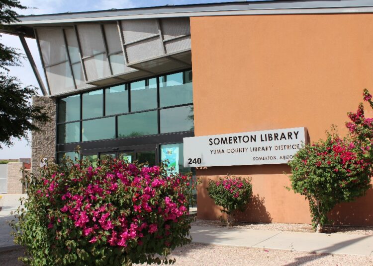 Invitan a Foro Informativo sobre órdenes de protección en la Biblioteca de Somerton