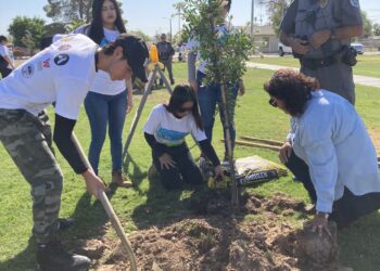 PPEP-Youthbuild sembrará árboles en parques