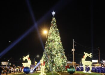 San Luis dio la bienvenida a la temporada navideña  “con festival de iluminación del árbol de Navidad”