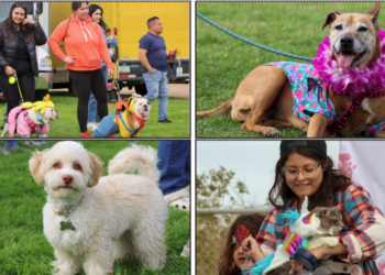 Mascota Manía regresa a San Luis  con actividades para toda la familia