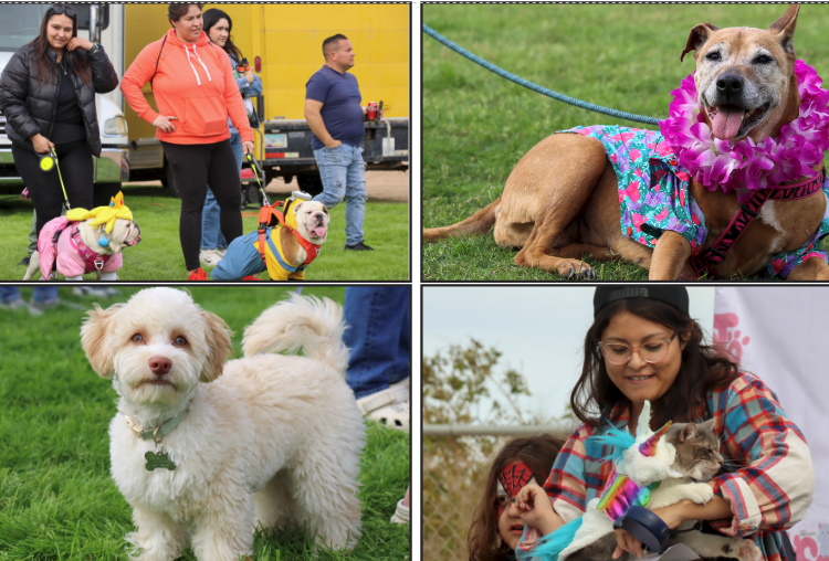 Mascota Manía regresa a San Luis  con actividades para toda la familia