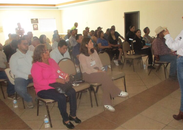 COPIOSA ASISTENCIA A CURSO CONTRA EL BARRENADOR