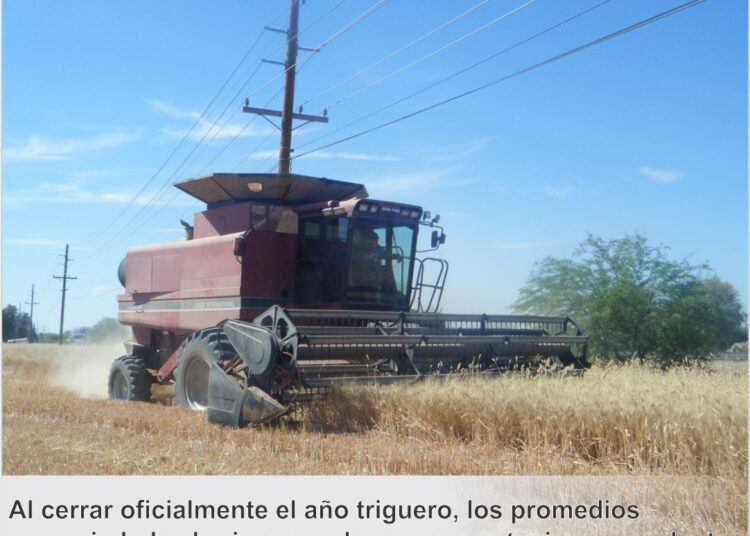 EMPEORA ESTADO DE LA CARRETERA DEL INDEPENDENCIA