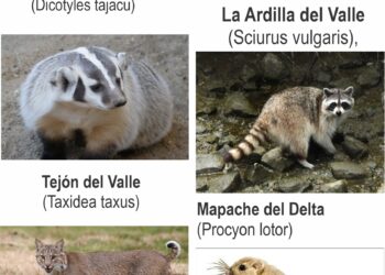 El Consejo del Último  Valle en el año 2147