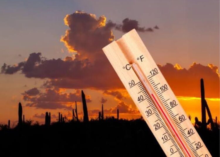 ¡Sabías que no es cierto que cada año  se rompen récords de temperatura!