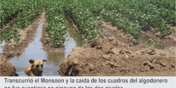 Director del CBTis #33 presenta Informe 2024-2025