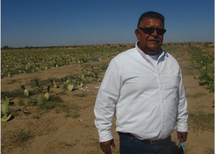 APRUEBAN SECUNDARIA EN EL FRONTERIZO